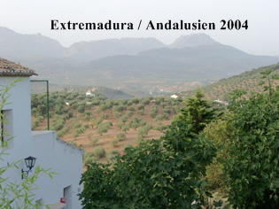 Anda04schal
