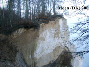 MoensKlint_schal